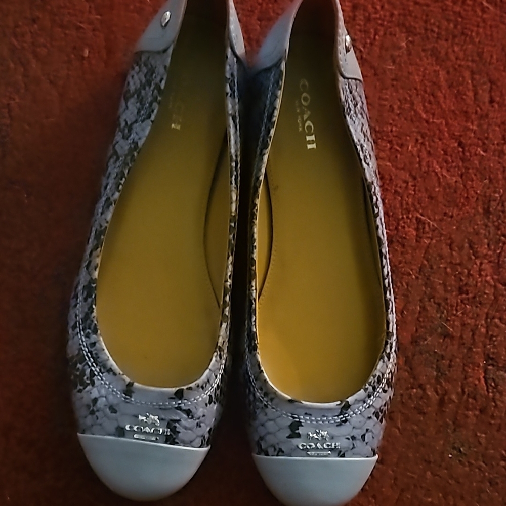 Coach Women's Grey Snakeskin Ballet Flats